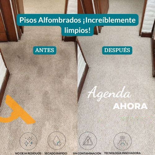 Piso alfombrado antes y después Neeyo